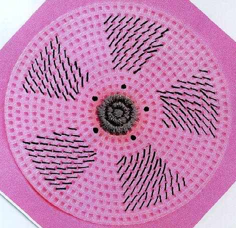 Wheel Coaster Pattern